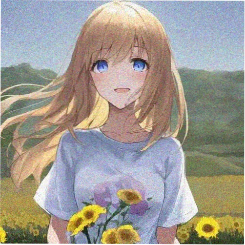 观众旧金山迷雾的头像